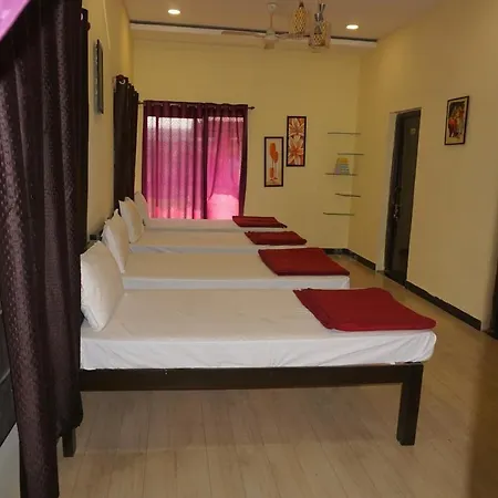 Zeal Tadoba Kolara