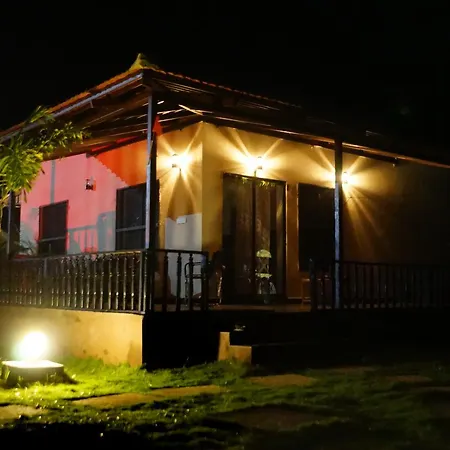 Zeal Tadoba * Kolara
